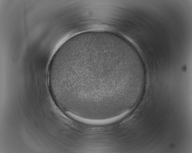 X0000116001467200912101305