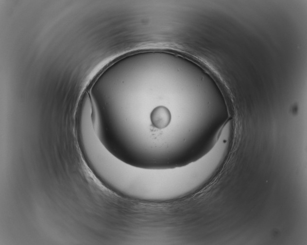 X0000116001468200912101305