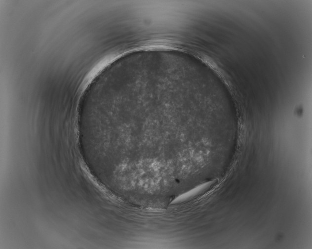 X0000116001469200912101305