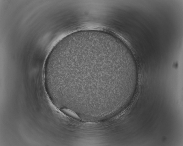 X0000116001471200912101305