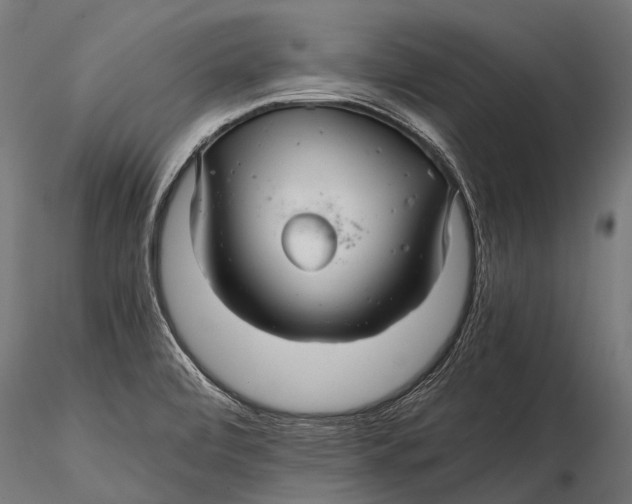 X0000116001472200912101305