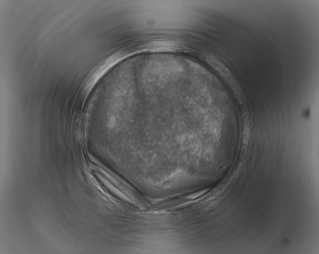 X0000116001473200912101305