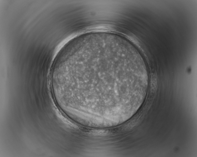 X0000116001474200912101305