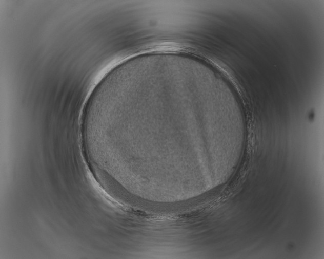 X0000116001475200912101305