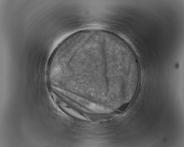 X0000116001477200912101305