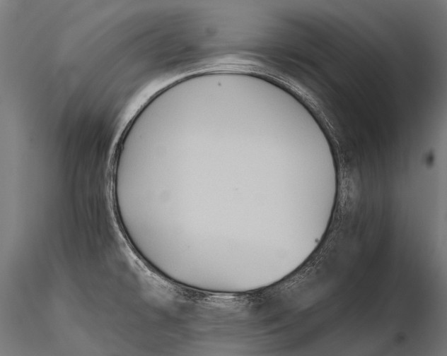 X0000116001478200912101305