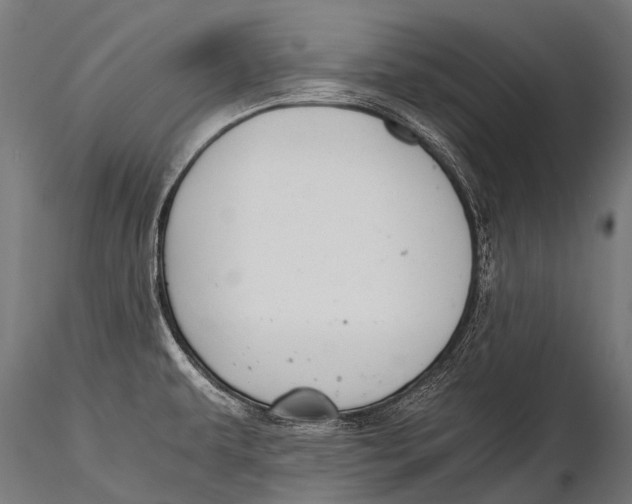 X0000116001479200912101305