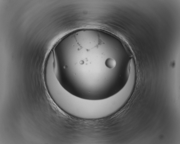 X0000116001480200912101305