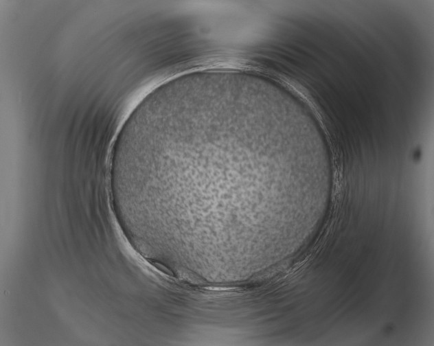 X0000116001483200912101305