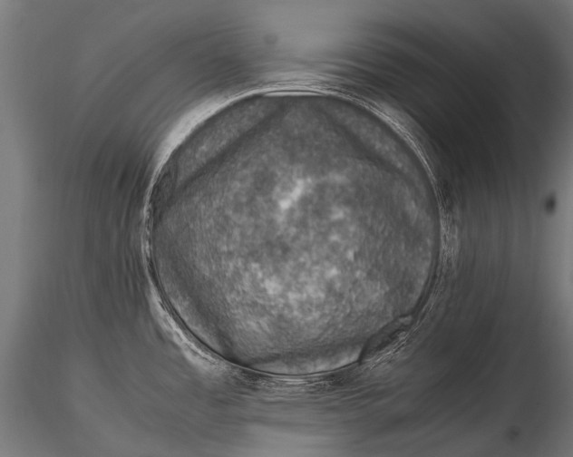 X0000116001485200912101305