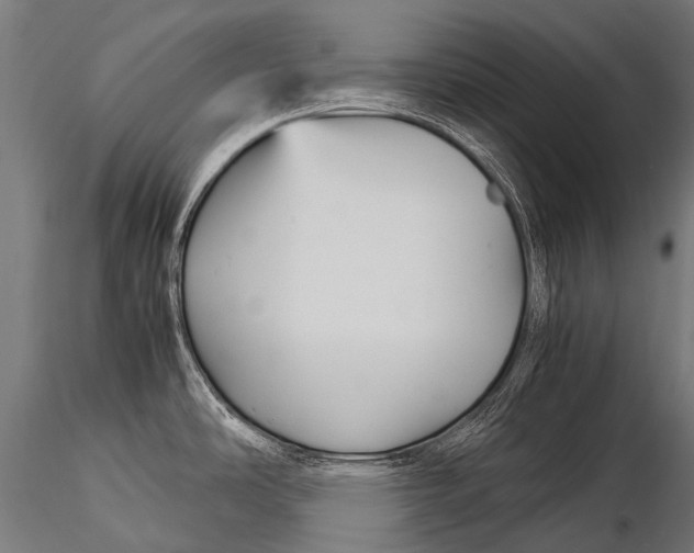 X0000116001486200912101305