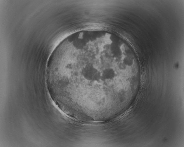 X0000116001487200912101305