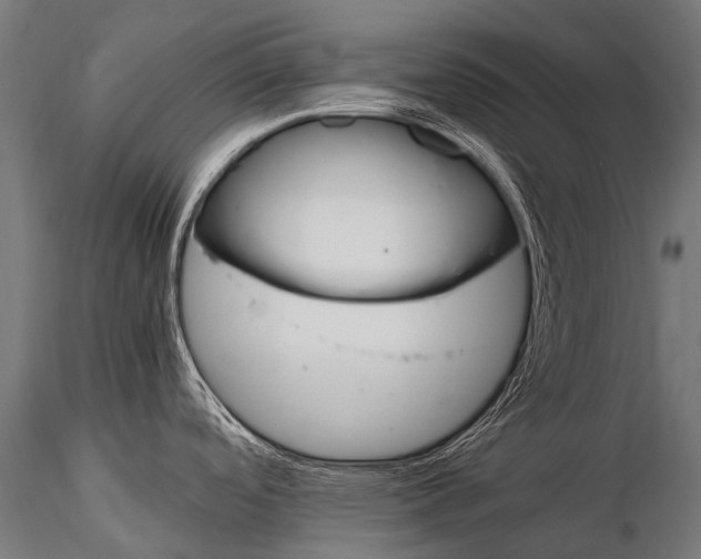 X0000116001488200912101305