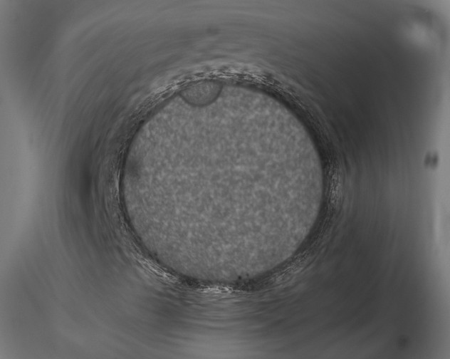 X0000116001489200912101304