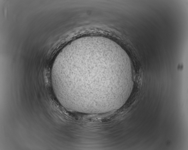 X0000116001490200912101304