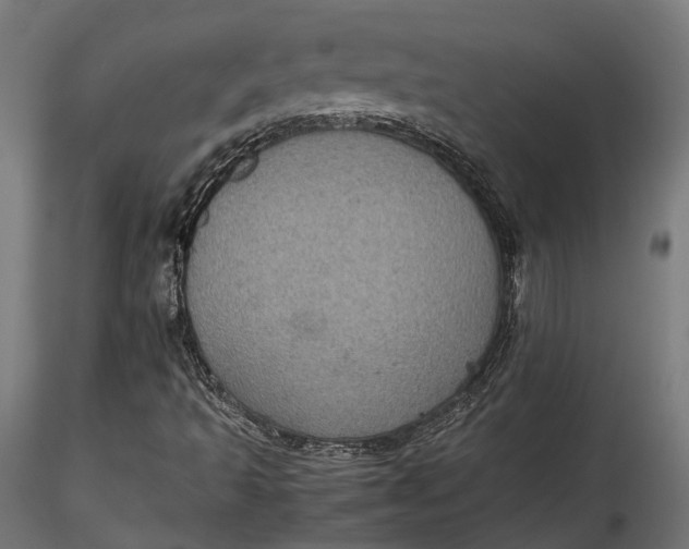 X0000116001493200912101304