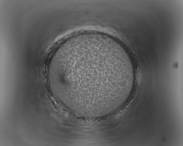 X0000116001494200912101304