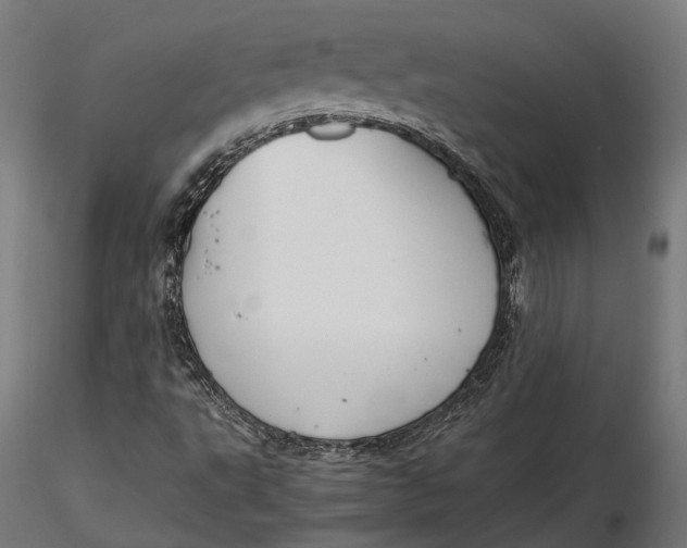 X0000116001495200912101304