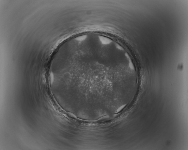 X0000116001497200912101304