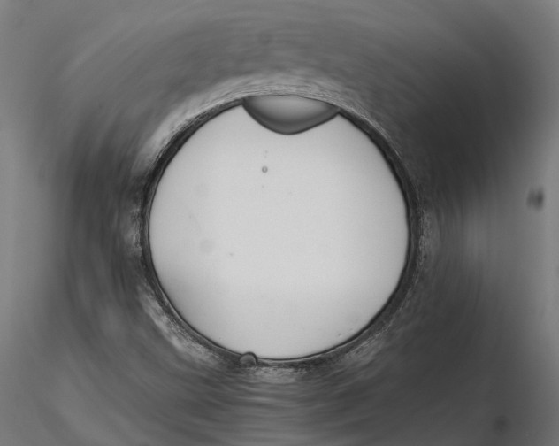 X0000116001499200912101304