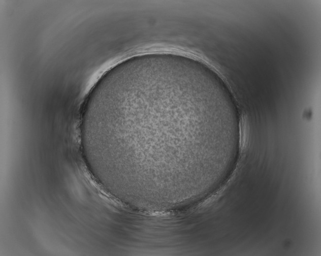 X0000116001501200912101304