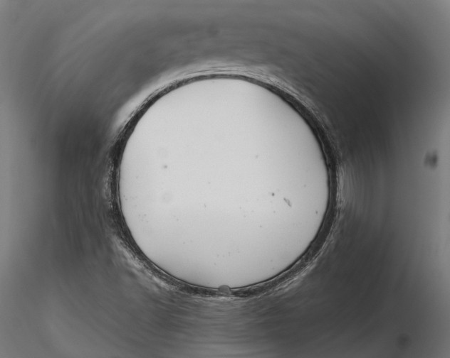 X0000116001502200912101304