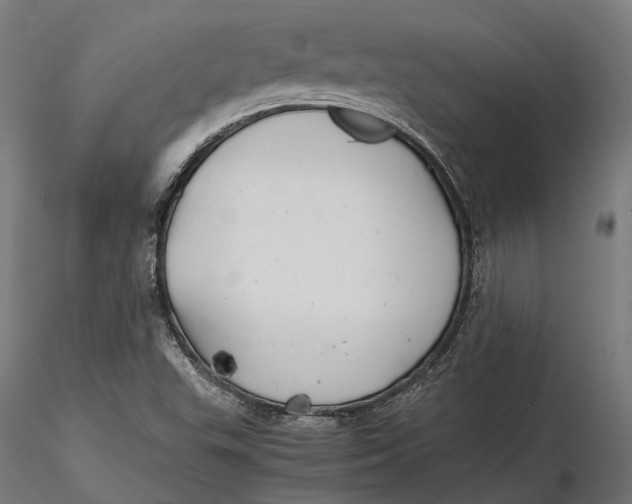 X0000116001503200912101304