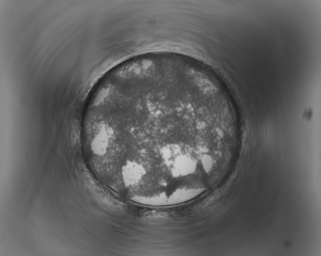 X0000116001505200912101304