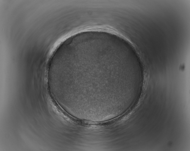 X0000116001506200912101304