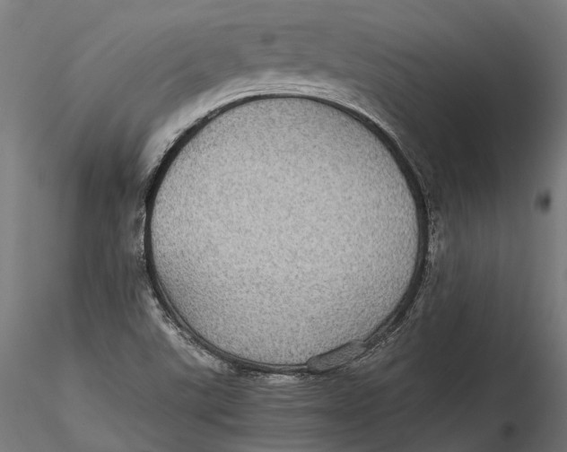 X0000116001507200912101304