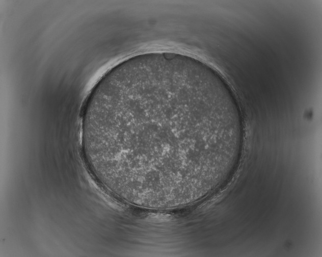 X0000116001509200912101304