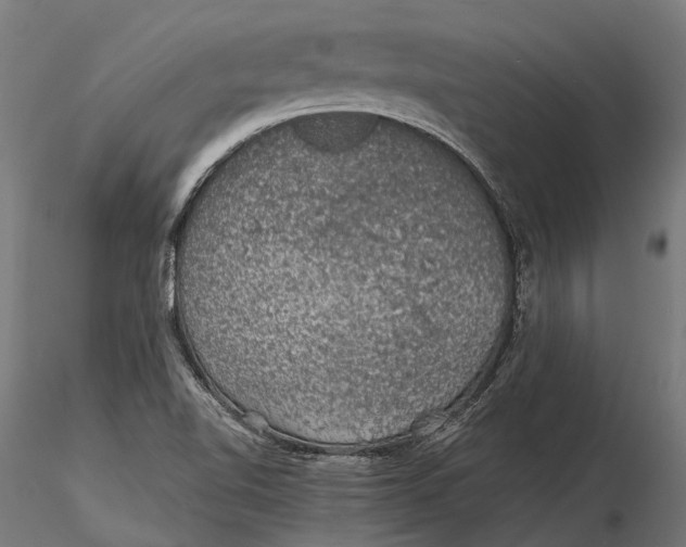 X0000116001510200912101304