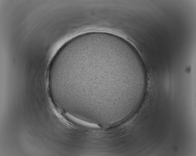 X0000116001511200912101304