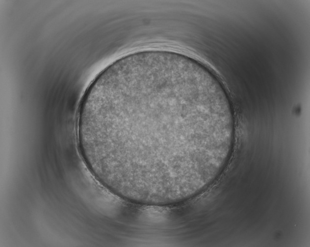 X0000116001514200912101304