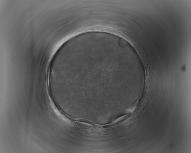 X0000116001515200912101304