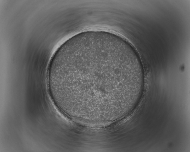 X0000116001517200912101304