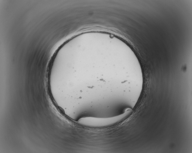 X0000116001518200912101304