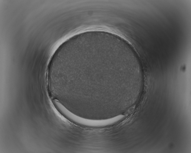 X0000116001519200912101304