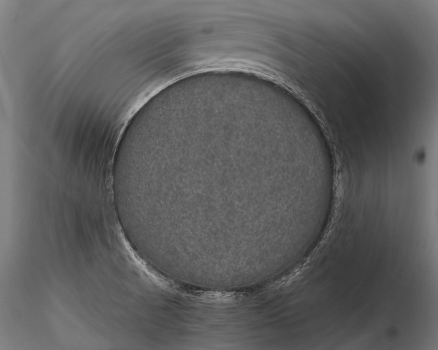 X0000116001521200912101304