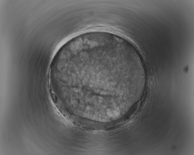 X0000116001522200912101304