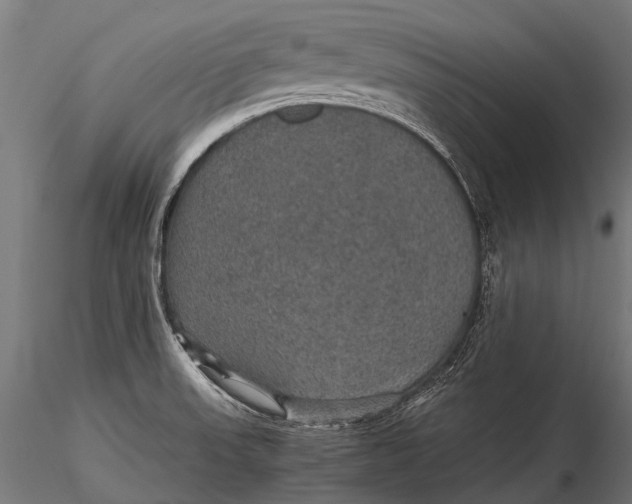 X0000116001523200912101304