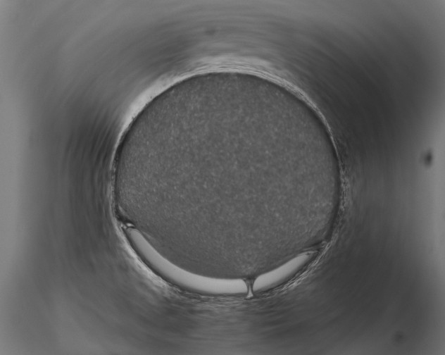 X0000116001525200912101304