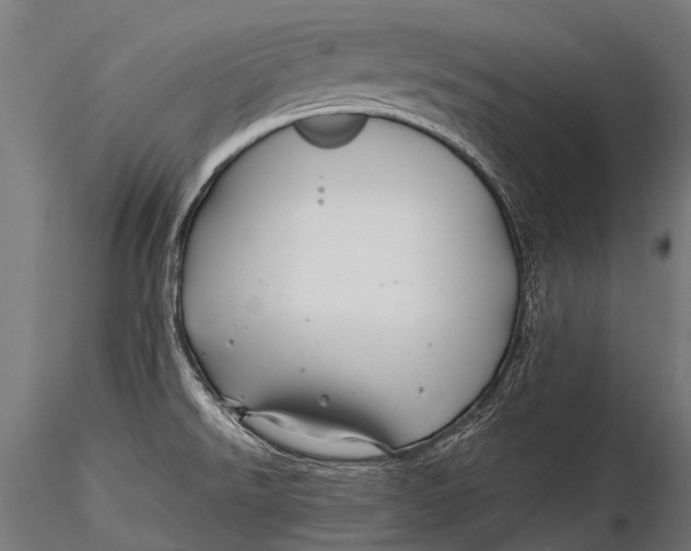 X0000116001526200912101304