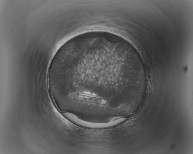 X0000116001527200912101304