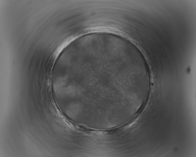 X0000116001529200912101305