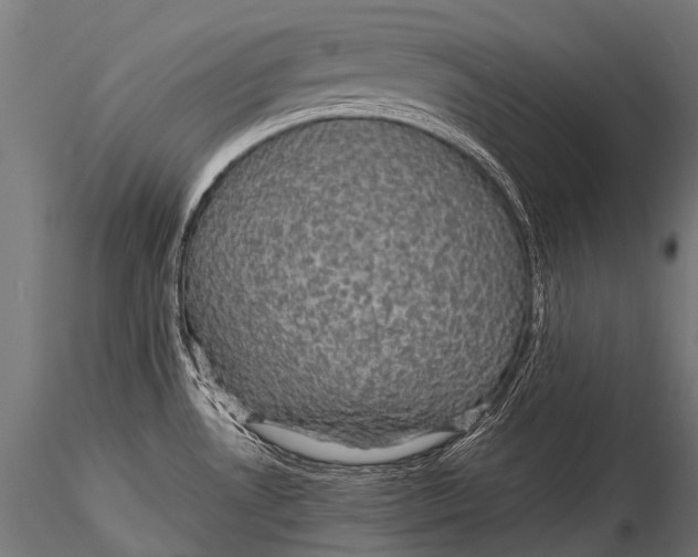 X0000116001530200912101305