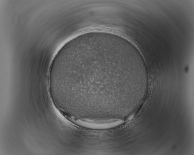 X0000116001531200912101305