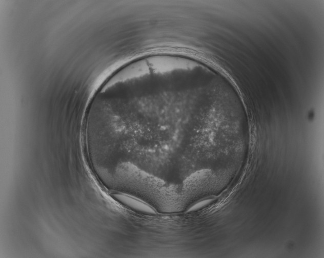 X0000116001533200912101305