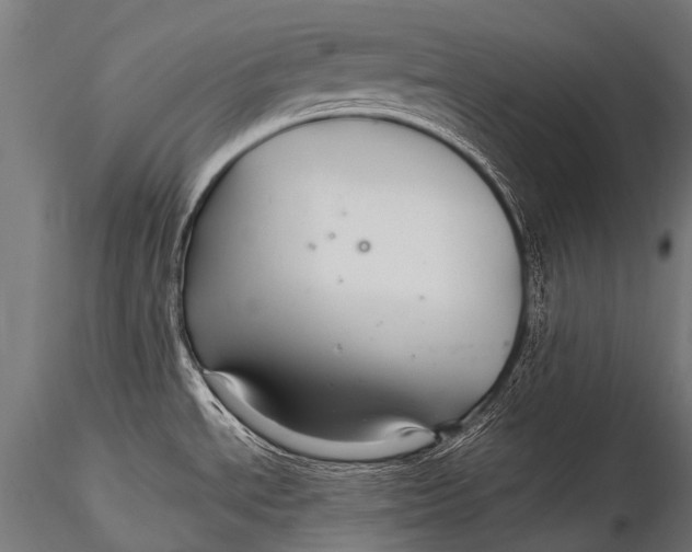 X0000116001534200912101305