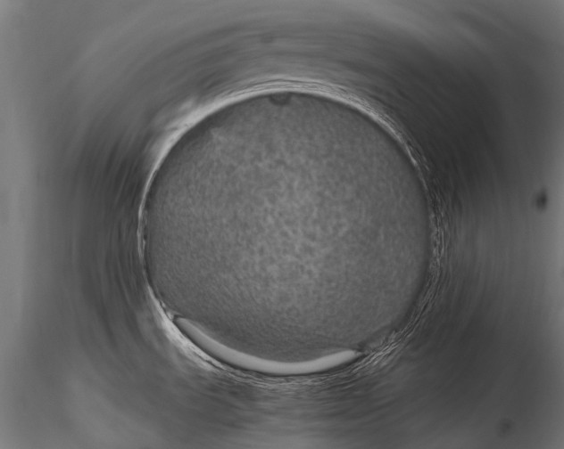 X0000116001535200912101305